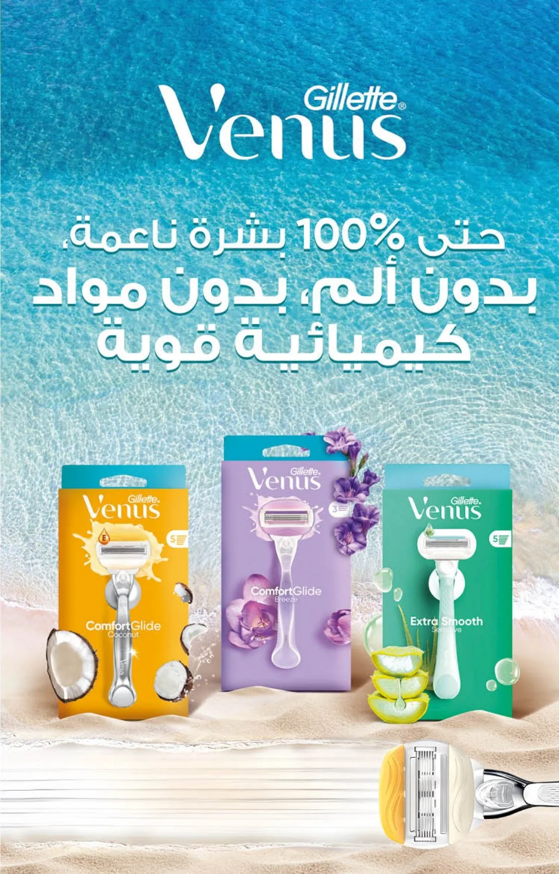 Catalogue Carrefour du 21 août au 10 septembre 2025 — page 22